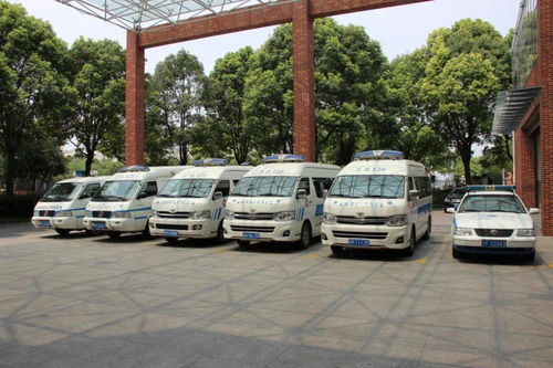 守护生命通道 浦东新区区域救治服务体系全面升级